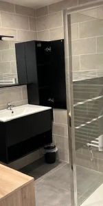 Appartement à louer 1 pièce 37m² - Photo 4
