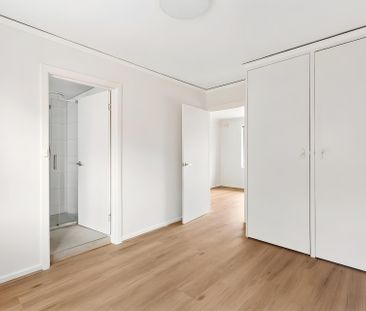 Newly Renovated Delight - UNIT 8 AVAILABLE - Photo 1