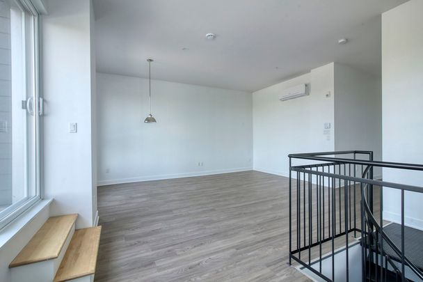 9675 Av. Papineau - Photo 1