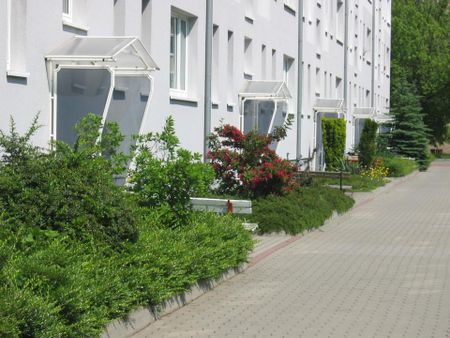 Optimale 2Raumwohnung, bestens ausgestattet, viel Grün, ganz ruhig. - Foto 3