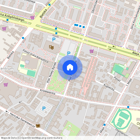 pl. Nowy Rynek, Płock, mazowieckie