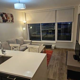 2 Bedroom 1 Bath available next to Joyce Skytrain - Photo 3