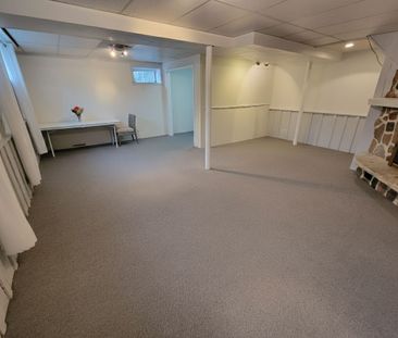 For Lease - 256 Sylvan Avenue Unit# Lower, Toronto, Ontario - Photo 6