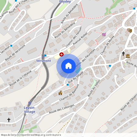 Chemin Des Fleurettes 18, 1854 Leysin