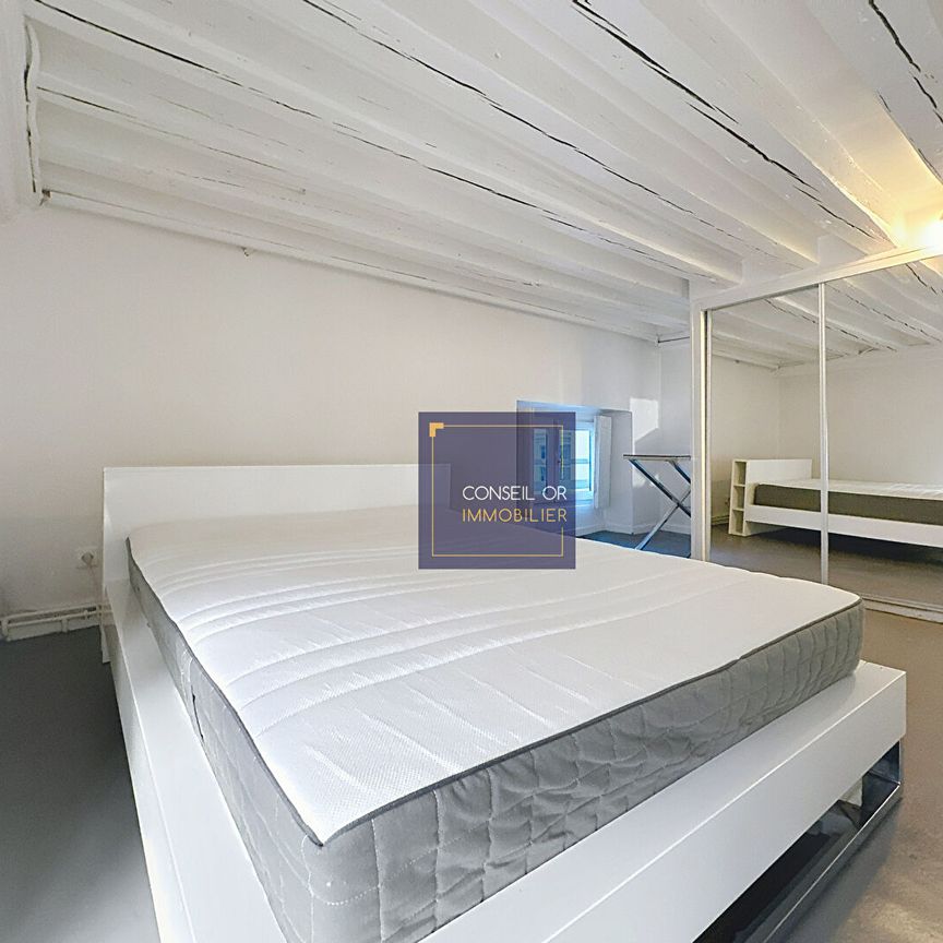 Appartement duplex - Hyper centre Lyon 2e, - Photo 1