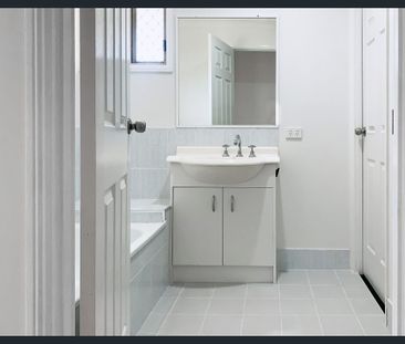 Duplex with HUGE backyard! - Photo 6