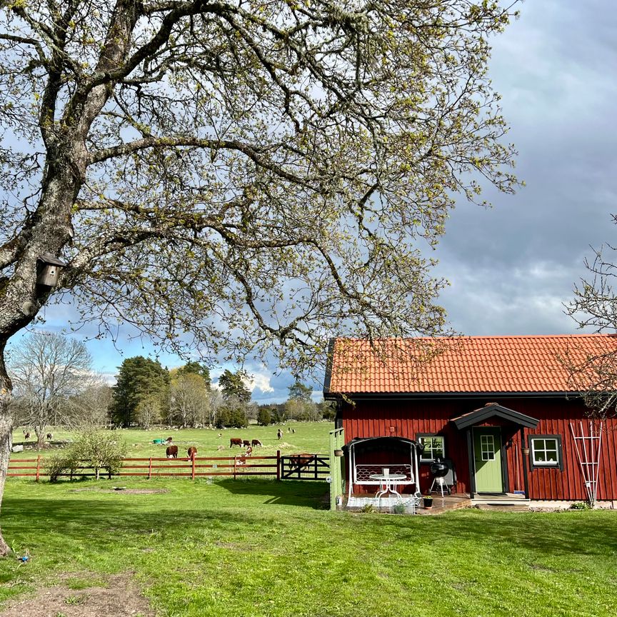 Sanda, Klintehamn - Foto 1
