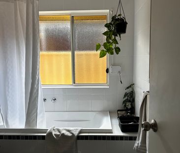 Albert Park - Photo 2