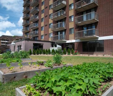 Cameron Arms - Photo 3