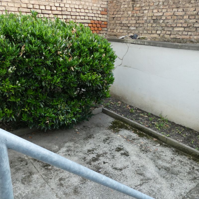 Agréable 2/3 pièces avec jardinet - Koenigshoffen Tram Comte - Photo 1