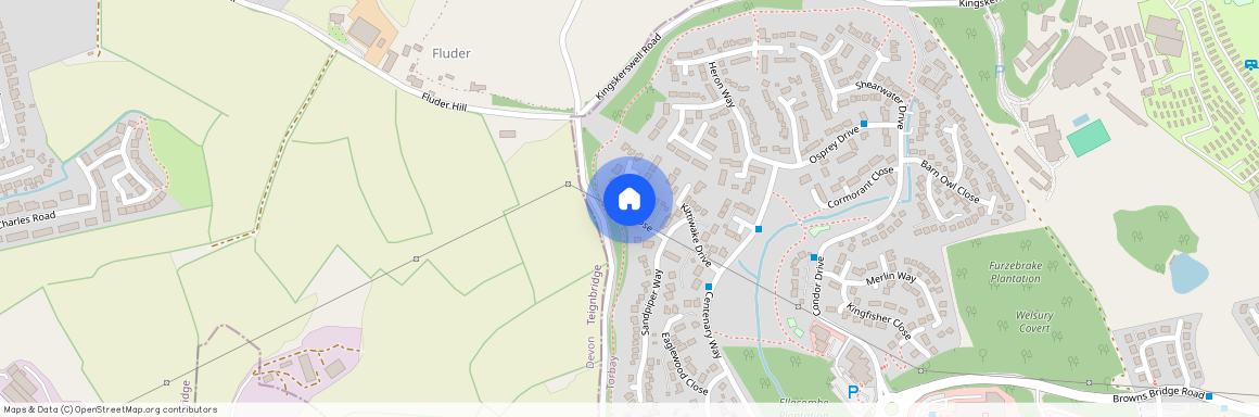 Curlew Close, Torquay TQ2