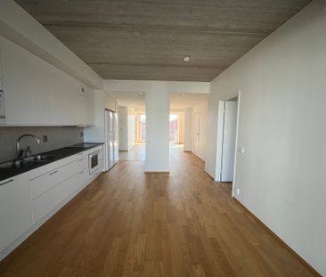 Limhamnsvägen - Foto 6