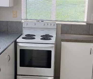 2 Bedroom Manurewa with water Included - Photo 3