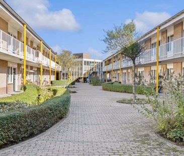 Maison familiale de 4 pièces à Lauwersmeer 263, Purmerend - À Louer - Photo 4