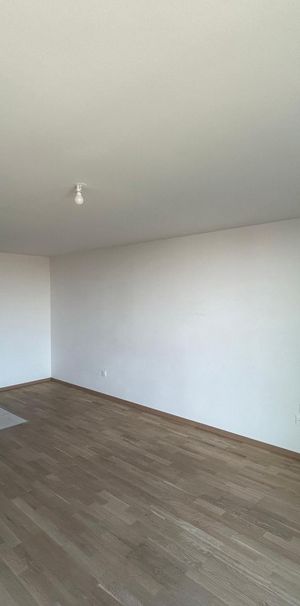 Location Appartement 2 pièces 46m² STRASBOURG 67000 - Photo 1