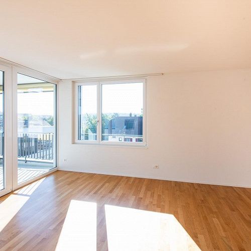 Moderne 4.5-Zimmer-Attika-Wohnung mit grosser Dachterrasse - Photo 1