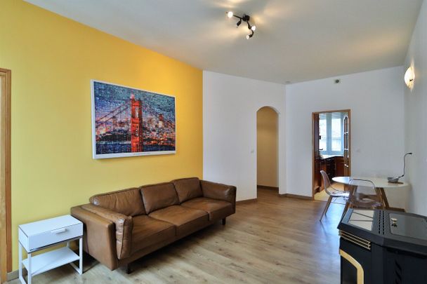 Location Appartement 2 pièces 50m² GRENOBLE 38000 - Photo 1