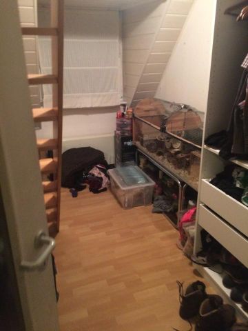 2.5 –Zimmer – DG - Maisonette Wohnung – befristet für 16 Monate - Photo 4