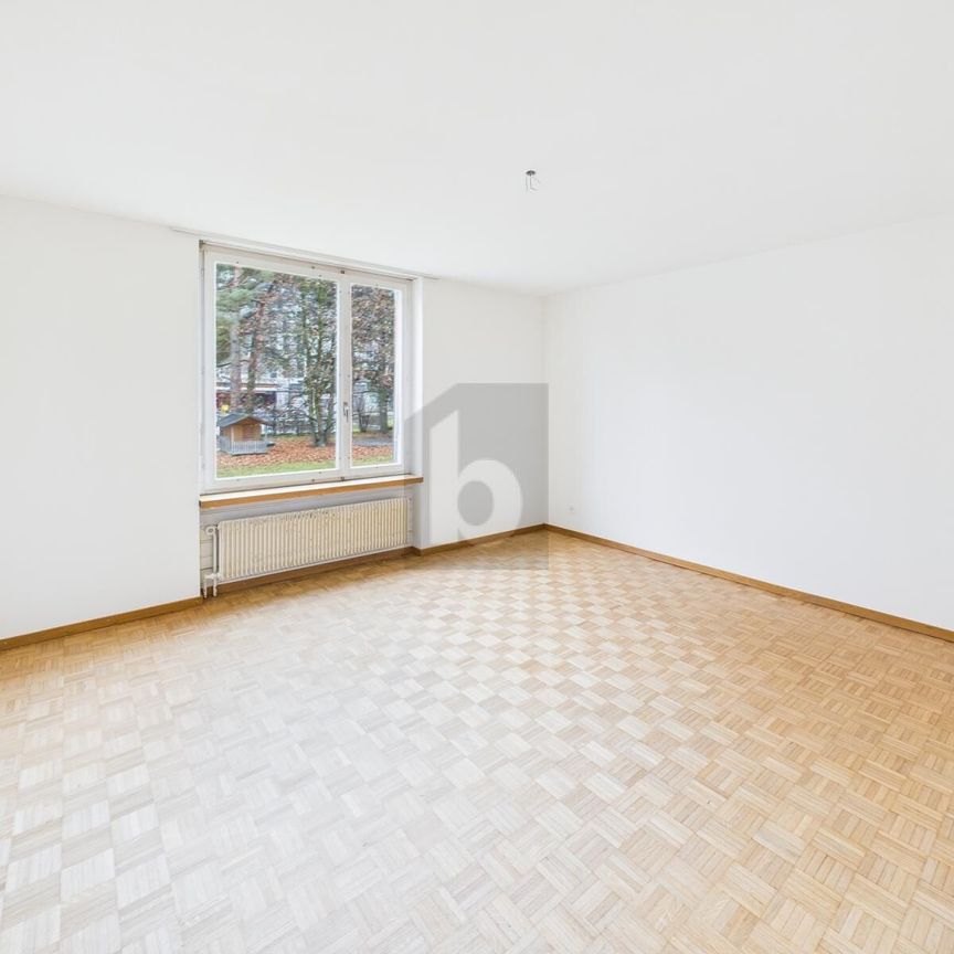 CENTRAL LOCATION WITH LARGE GARDEN - Foto 1