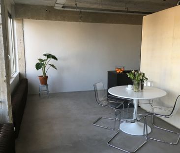 Te huur: Studio Professor Pieter Willemsstraat in Maastricht - Photo 3