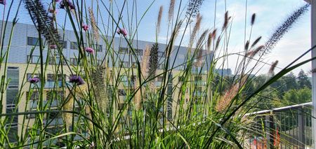 Warszawa, Karola Chodkiewicza - Фото 4