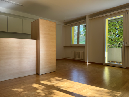 Moderne 3.5 Zimmer-Wohnung im Grünen, ruhig und zentral im Gundeli - Foto 4