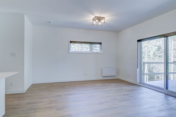 1597, rue du Calypso, Magog - Photo 1