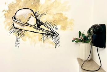 Vicolo Pastori, Padova, Veneto 35131