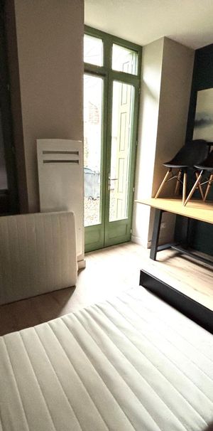 Location Appartement 1 pièce 17m² ST ETIENNE 42100 - Photo 1