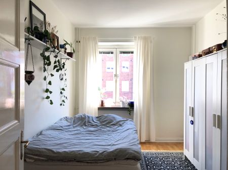 Kamrergatan, Malmö - Photo 3