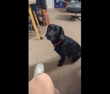 Room in a Shared Flat, Charlotte Street, BS1 - Photo 6