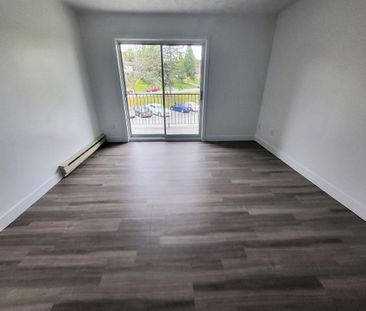 Appartement 4 ½ rénové à louer – Sherbrooke, Secteur Université & M... - Photo 6