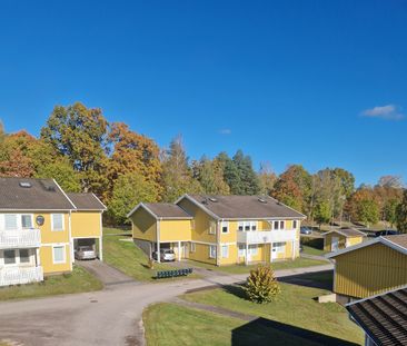 Paulisväg, Pauliström - Foto 4