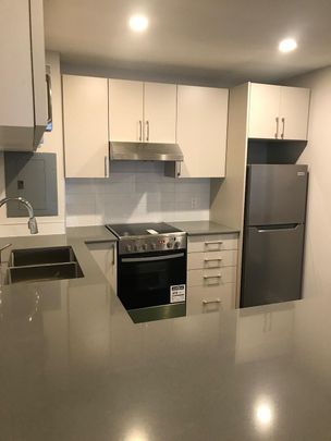 Beautiful 3 story walk up in the Glebe , All 1 bedroom units, All inclusive - Photo 1