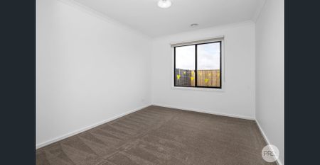 FAMILY COMFORT & SPACE IN SMYTHES CREEK - MINUTES FROM DTC ! - Photo 3