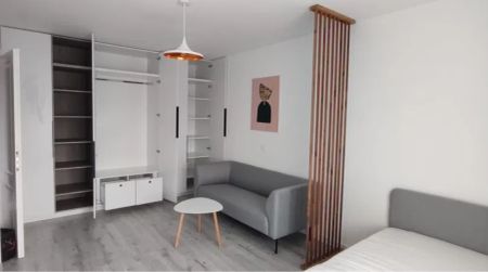 Poitiers apartament 40 mp, 1 camera, decomandat, de inchiriat, Lidl, Cod 162184 - Fotografie 3