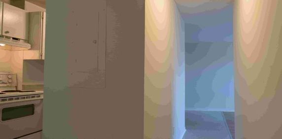 1 CH - 1 SDB - Gatineau - $1,445 /mo - Photo 2