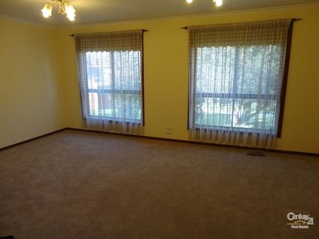 Quiet Location, All the Amenities! - Photo 4