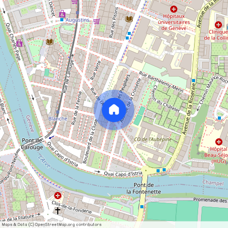 Rue Des Peupliers 12, 1205 Geneva