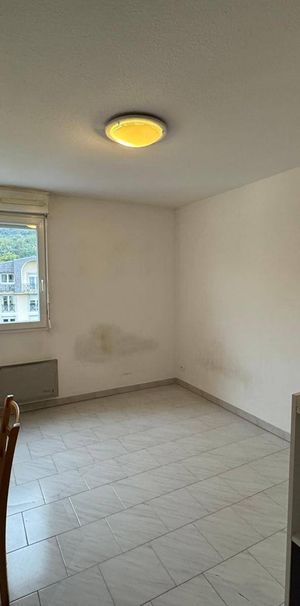 Location appartement 1 pièce 18.53 m² à Le Bourget-du-Lac (73370) - Photo 1