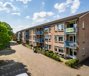 Sint Antoniastraat 56, 7061CD, Terborg - Photo 4