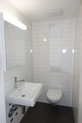 Zuhause im schönen Baselland! - Photo 4