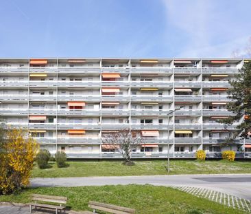 Appartement entièrement rénové de 3.5 pièces au 5ème étage, avec ba... - Photo 3