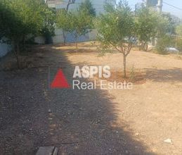 Μονοκατοικία για ενοικίαση - Ανάβυσσος, - Photo 4
