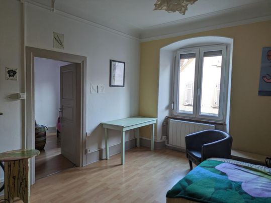 Location Appartement 3 pièces 64m² ALTKIRCH 68130 - Photo 1