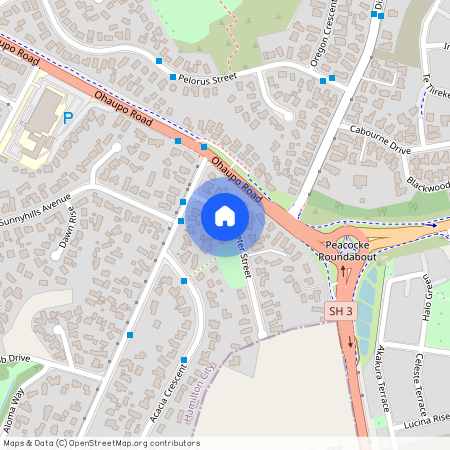 6 Exeter Street, Glenview, Hamilton