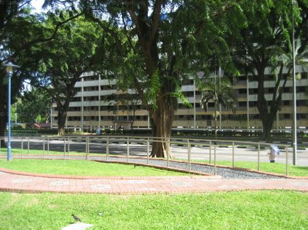 Blk 119 Ang Mo Kio Avenue 3 (Ang Mo Kio), HDB 3 Rooms - For Rent - Photo 4