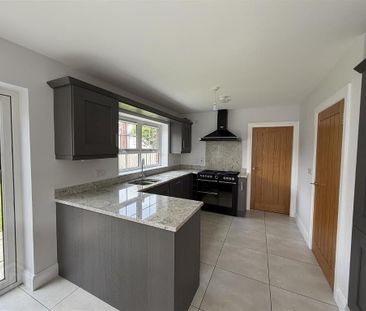 24 Springhill Meadows, Ballyclare, BT39 9LD - Photo 6