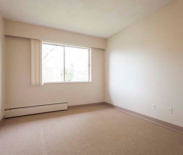 Holly Tree Apartments - 1 Bedroom - Photo 1