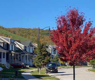 For Lease - 194 Yellow Birch Crescent, Blue Mountains, Ontario - Photo 6